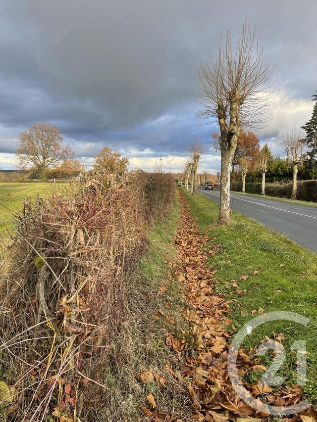 terrain à vendre - 5022.0 m2 - YGRANDE - 03 - AUVERGNE - Century 21 Pierre Immobilier