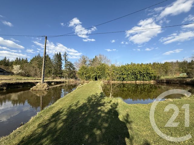 maison à vendre - 5 pièces - 216.77 m2 - VILLENEUVE SUR ALLIER - 03 - AUVERGNE - Century 21 Pierre Immobilier