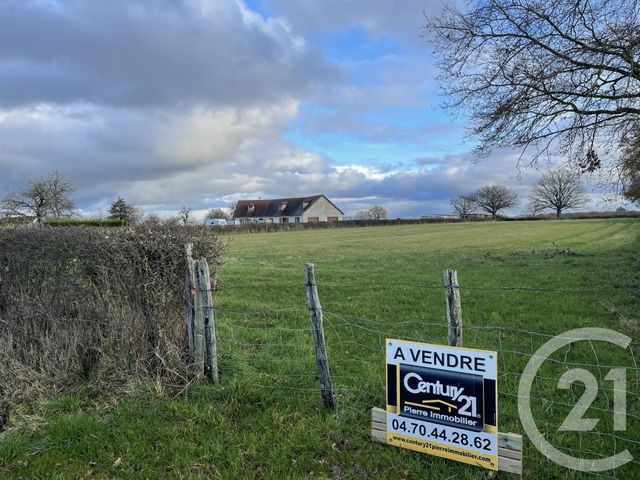 Afficher la photo en grand terrain à vendre - 6970.0 m2 - YGRANDE - 03 - AUVERGNE - Century 21 Pierre Immobilier