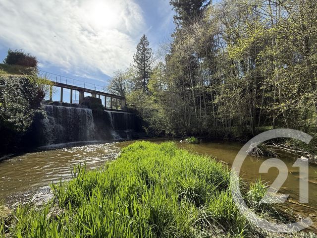 maison à vendre - 5 pièces - 120.0 m2 - SOUVIGNY - 03 - AUVERGNE - Century 21 Pierre Immobilier