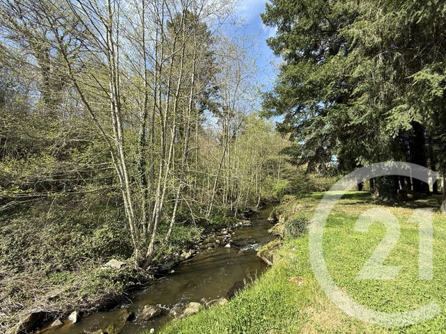 maison à vendre - 5 pièces - 120.0 m2 - SOUVIGNY - 03 - AUVERGNE - Century 21 Pierre Immobilier