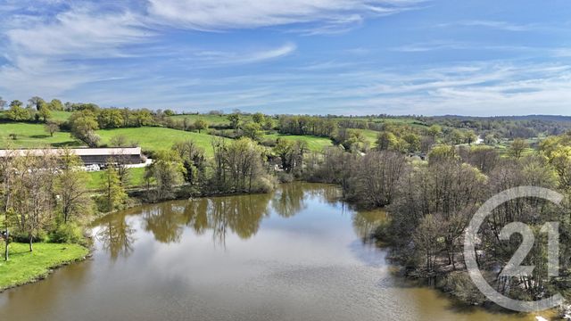maison à vendre - 5 pièces - 120.0 m2 - SOUVIGNY - 03 - AUVERGNE - Century 21 Pierre Immobilier