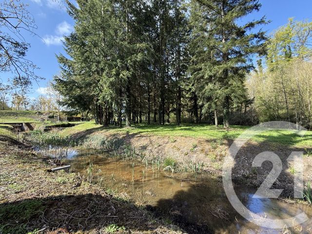 maison à vendre - 5 pièces - 120.0 m2 - SOUVIGNY - 03 - AUVERGNE - Century 21 Pierre Immobilier