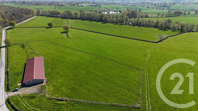 terrain à vendre - 15026.0 m2 - BRESSOLLES - 03 - AUVERGNE - Century 21 Pierre Immobilier