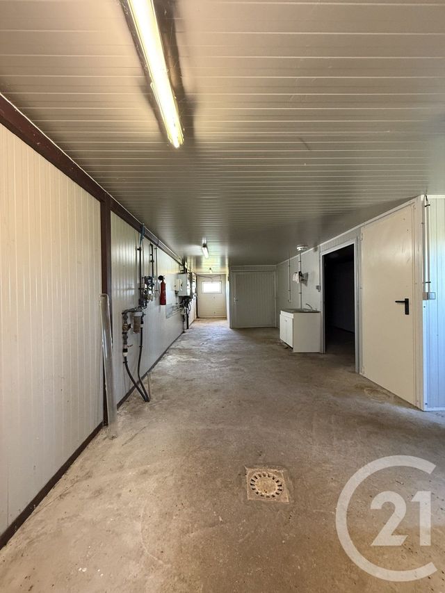 terrain à vendre - 15026.0 m2 - BRESSOLLES - 03 - AUVERGNE - Century 21 Pierre Immobilier