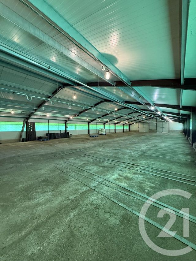 terrain à vendre - 15026.0 m2 - BRESSOLLES - 03 - AUVERGNE - Century 21 Pierre Immobilier