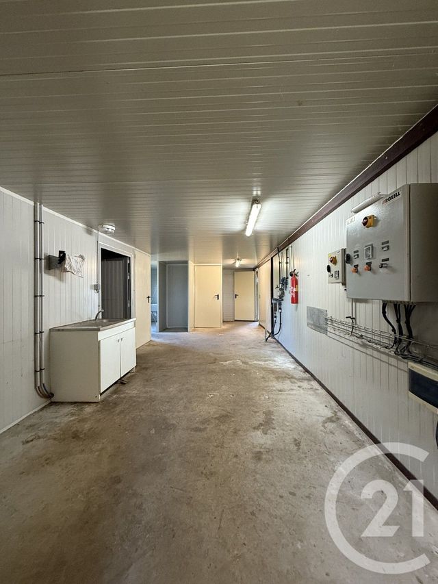 terrain à vendre - 15026.0 m2 - BRESSOLLES - 03 - AUVERGNE - Century 21 Pierre Immobilier