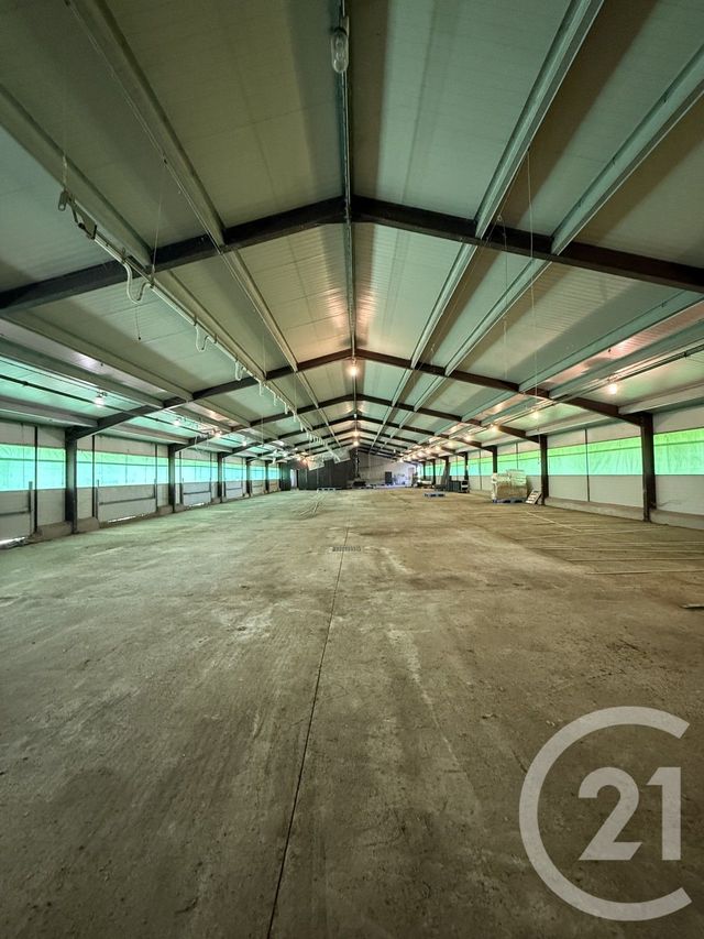 terrain à vendre - 15026.0 m2 - BRESSOLLES - 03 - AUVERGNE - Century 21 Pierre Immobilier