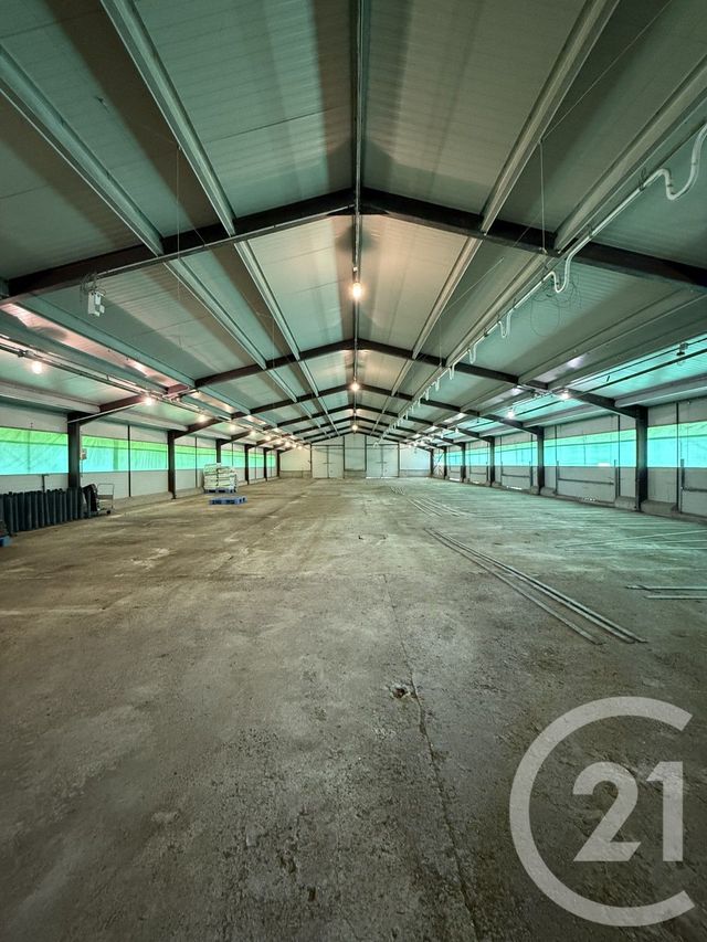 terrain à vendre - 15026.0 m2 - BRESSOLLES - 03 - AUVERGNE - Century 21 Pierre Immobilier