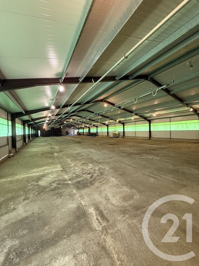 terrain à vendre - 15026.0 m2 - BRESSOLLES - 03 - AUVERGNE - Century 21 Pierre Immobilier