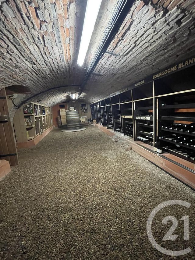 maison à vendre - 10 pièces - 221.0 m2 - DOMPIERRE SUR BESBRE - 03 - AUVERGNE - Century 21 Pierre Immobilier