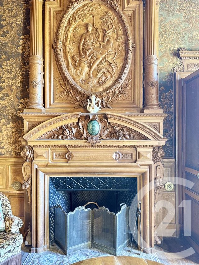 maison à vendre - 25 pièces - 785.0 m2 - THIONNE - 03 - AUVERGNE - Century 21 Pierre Immobilier