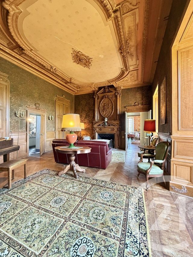 maison à vendre - 25 pièces - 785.0 m2 - THIONNE - 03 - AUVERGNE - Century 21 Pierre Immobilier